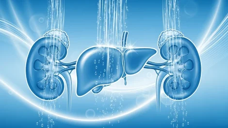 kidney-liver-detox